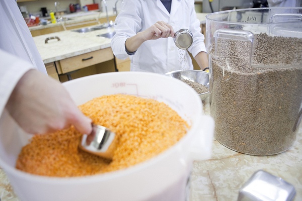 accurate testing of food quality